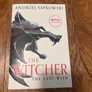 The Witcher book 1